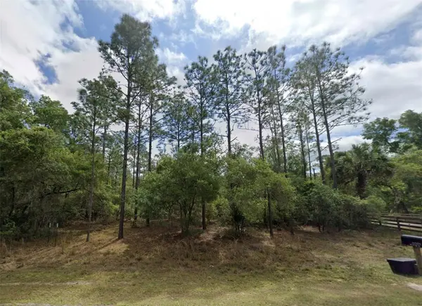 Lot 1 NE 127TH ST, Fort Mc Coy, FL 32134