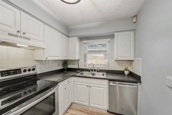 4516 W PAXTON AVE, Tampa, FL 33611