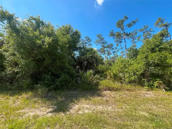20277 SPANGLER TER, Port Charlotte, FL 33954