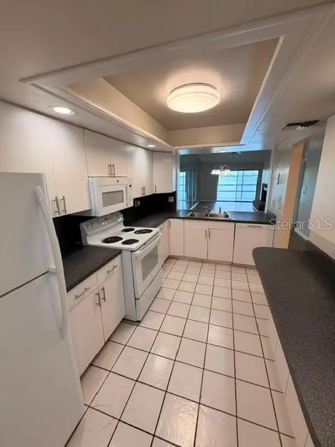 4109 FAIRVIEW VISTA PT #315, Orlando, FL 32804