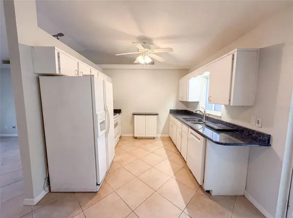 1719 NEEDLE PALM DR, Edgewater, FL 32132