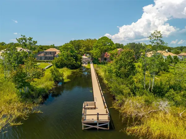 1070 CEASARS CT, Mount Dora, FL 32757