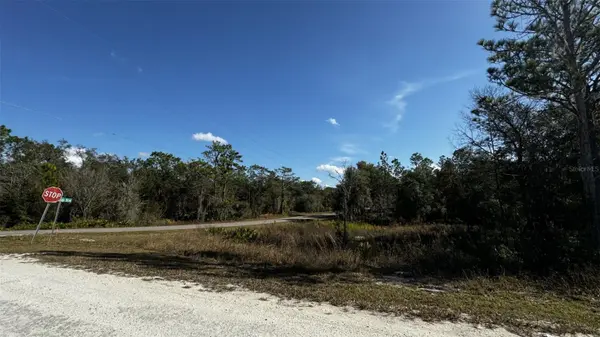 7398 WAGERS DR, Webster, FL 33597