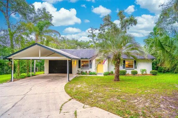 31050 LOCHMORE CIR, Mount Plymouth, FL 32776