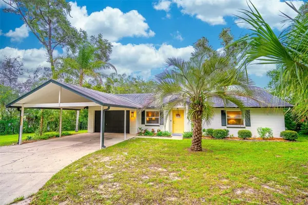 31050 LOCHMORE CIR, Mount Plymouth, FL 32776