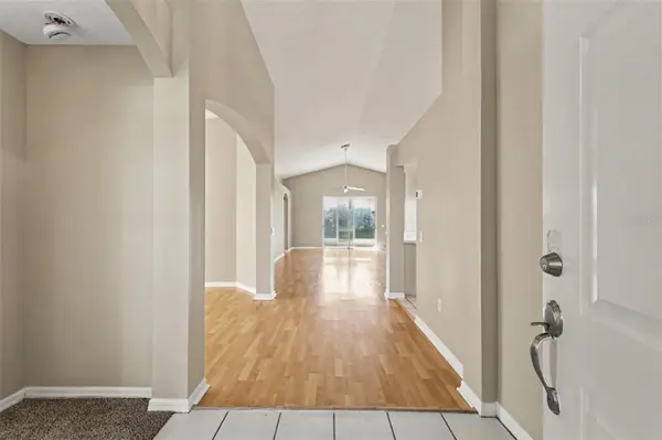 29412 SEA DAHLIA PASS, Wesley Chapel, FL 33543