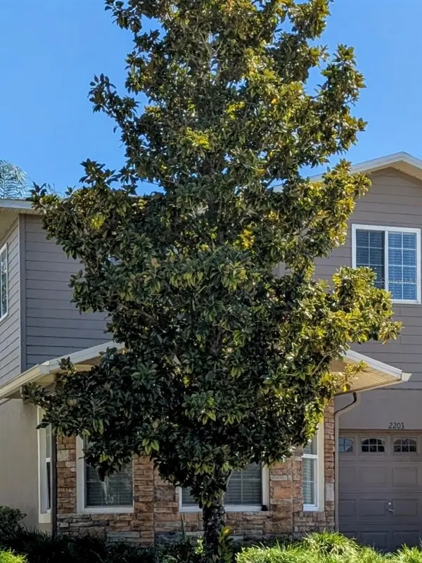 2203 CHATHAM PL, Orlando, FL 32824