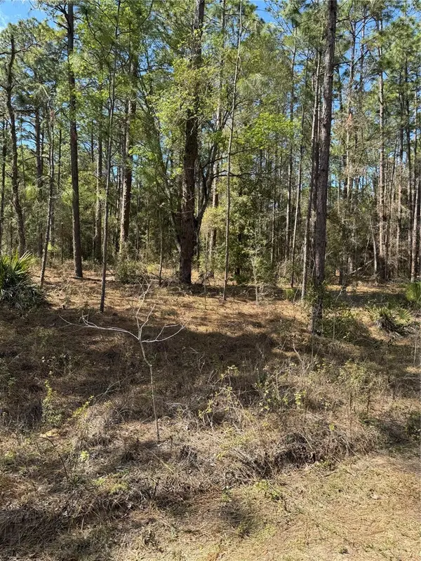 SW 156TH COURT, Ocala, FL 34481