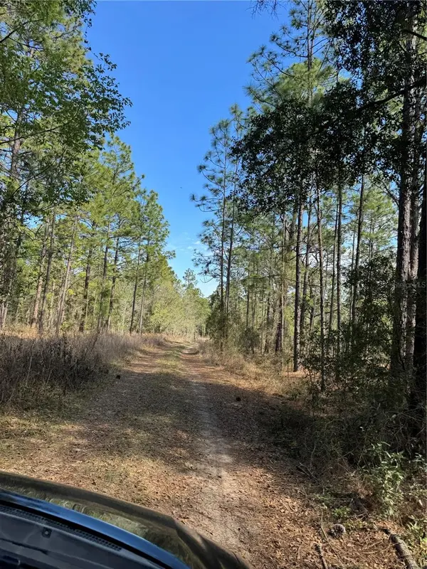 SW 156TH COURT, Ocala, FL 34481