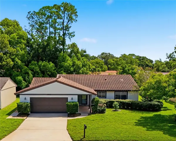 10702 WILLIAM TELL DR, Orlando, FL 32821