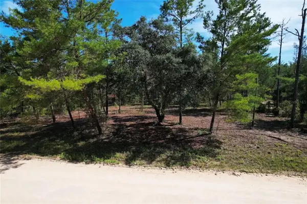 SE 6TH LN, Williston, FL 32696