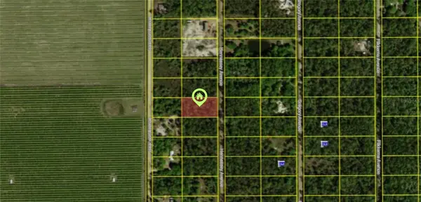 10515 HENNESSEY AVE, Hastings, FL 32145