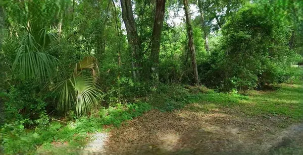 4226 N FOREST LAKE DR, Hernando, FL 34442