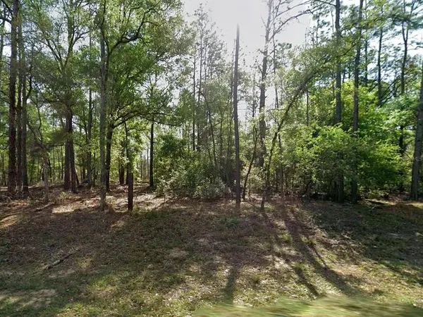 8319 N YELLOWBIRD AVE, Citrus Springs, FL 34434