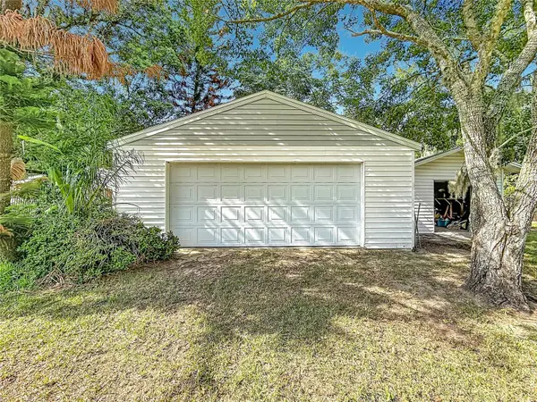 3271 ROBINSON ST, Zellwood, FL 32798