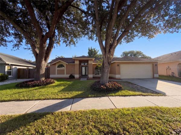 2330 FOGGY RIDGE Pkwy, Land O Lakes, FL 34639