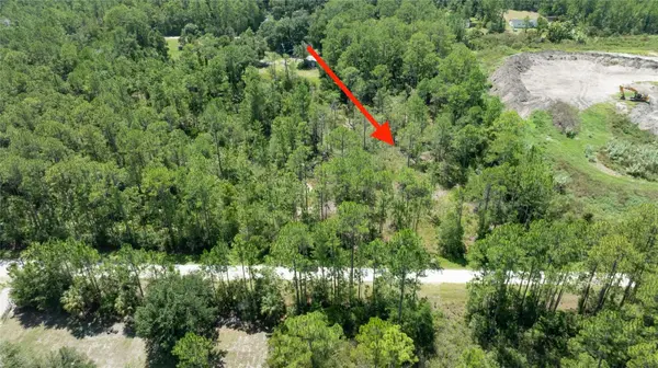 5669 MANGO AVE, Bunnell, FL 32110
