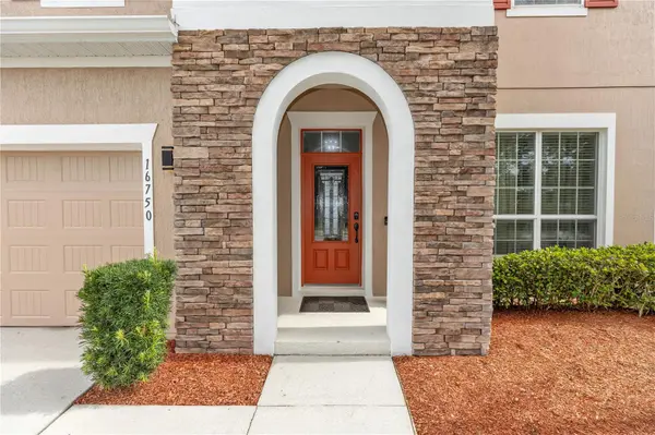 16750 ABBEY HILL CT, Clermont, FL 34711
