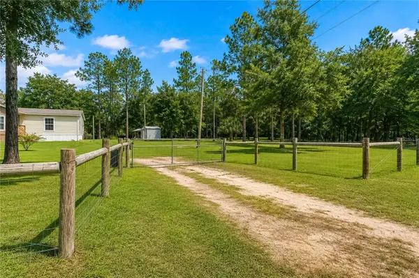 13711 NE 8TH ST, Williston, FL 32696