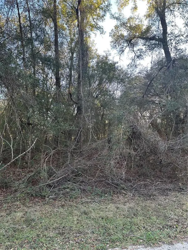 8276 N ELIDA AVE, Dunnellon, FL 34434