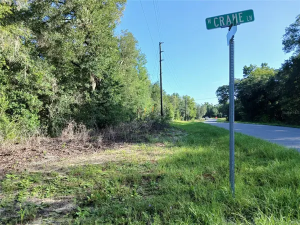 10762 N ACADEMY DR, Citrus Springs, FL 34434