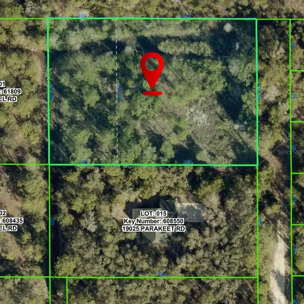 19037 PARAKEET RD, Brooksville, FL 34614