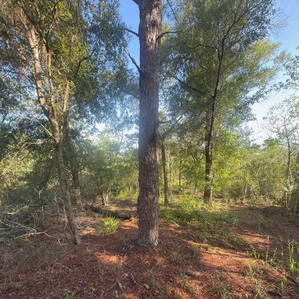 19037 PARAKEET RD, Brooksville, FL 34614