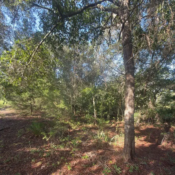19037 PARAKEET RD, Brooksville, FL 34614