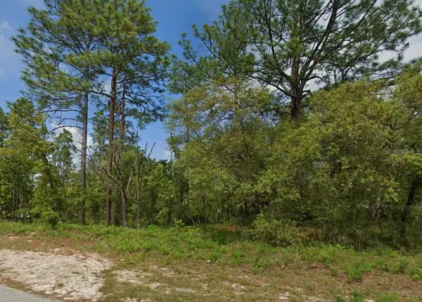 6895 N VARSITY AVE, Citrus Springs, FL 34434