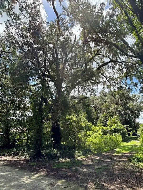 Lot 28 SW 109 LN, Dunnellon, FL 34432