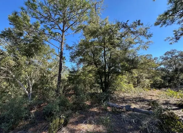 TBD NE 86TH ST, Bronson, FL 32621