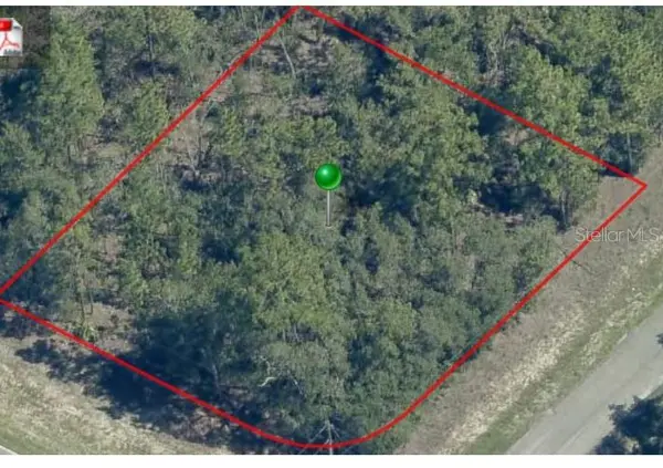 873 W HAMPSHIRE BLVD, Citrus Springs, FL 34434