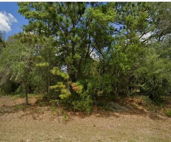 1895 W HAMPSHIRE BLVD, Citrus Springs, FL 34434