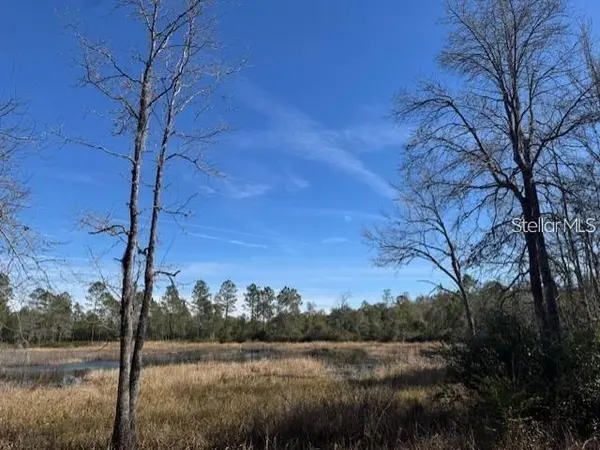 TBD NE 150TH AVE RD #LOT 5, Fort Mc Coy, FL 32134