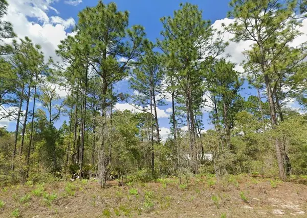 2175 W GALAXY LN, Citrus Springs, FL 34434