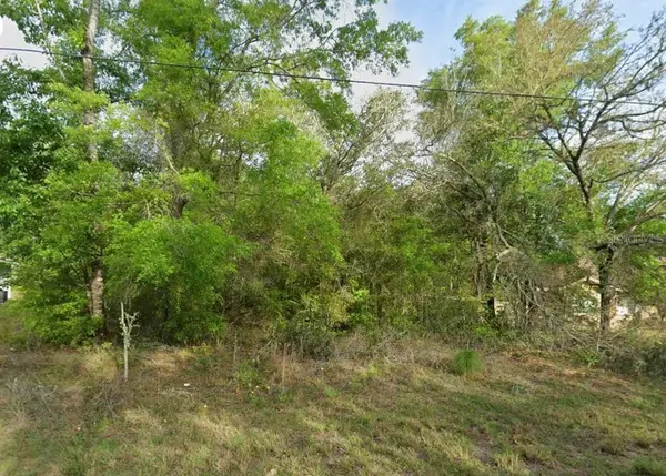 8280 N GALENA AVE, Citrus Springs, FL 34434