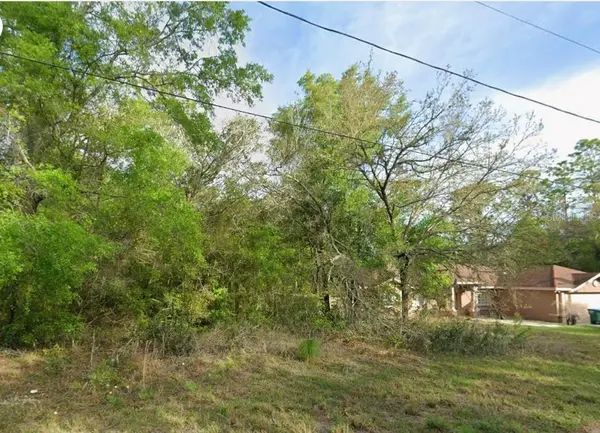 8280 N GALENA AVE, Citrus Springs, FL 34434