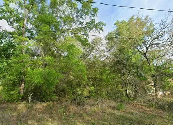 8280 N GALENA AVE, Citrus Springs, FL 34434