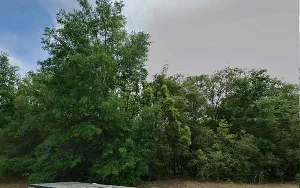 602 W ANDERSON LN, Citrus Springs, FL 34434