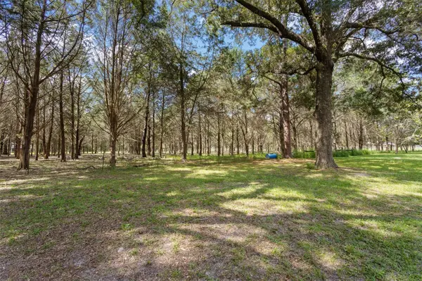 5581 NE 157TH TER, Williston, FL 32696