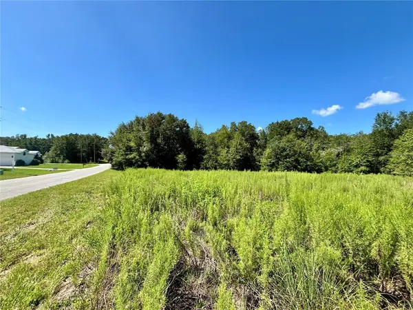 TBD SW 132ND AVE, Dunnellon, FL 34432