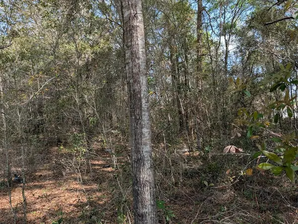 SW 30TH PL, Ocala, FL 34481