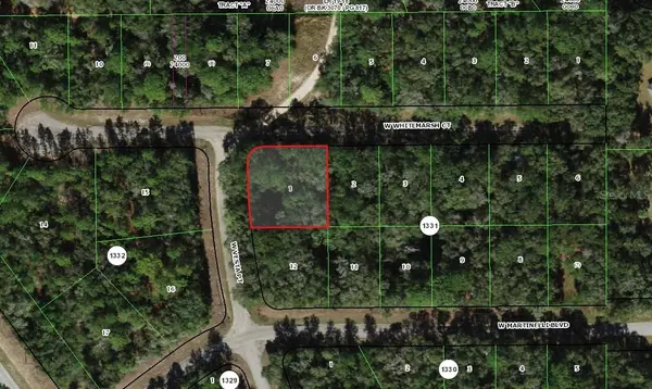 346 W WHITMARSH CT, Citrus Springs, FL 34434