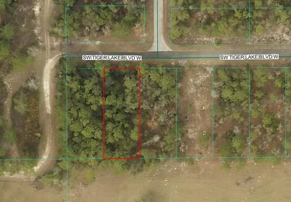 0 SW TIGER LAKE BLVD, Dunnellon, FL 34432