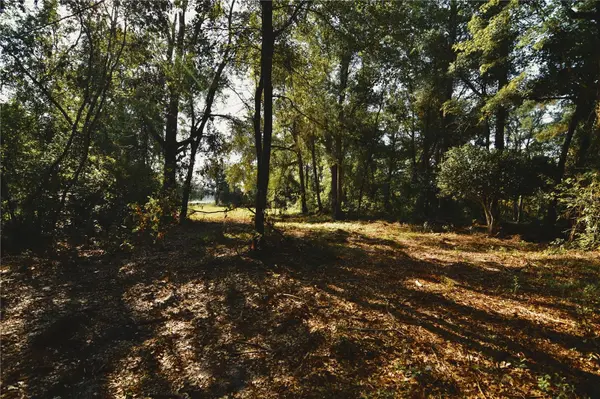 00 HALL LAKE RD, Keystone Heights, FL 32656