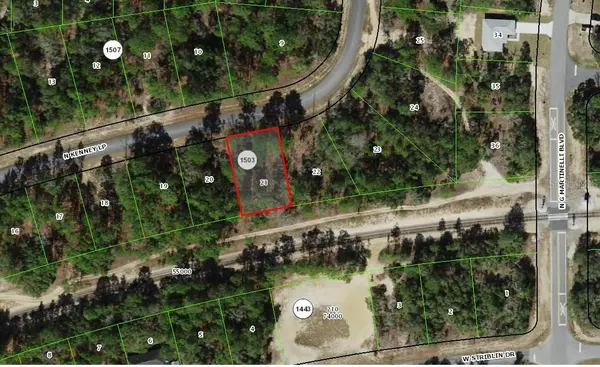 11345 N KENNEY LOOP, Citrus Springs, FL 34433