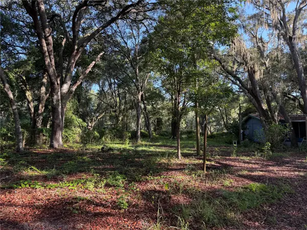 13799 NE 47TH AVE, Anthony, FL 32617
