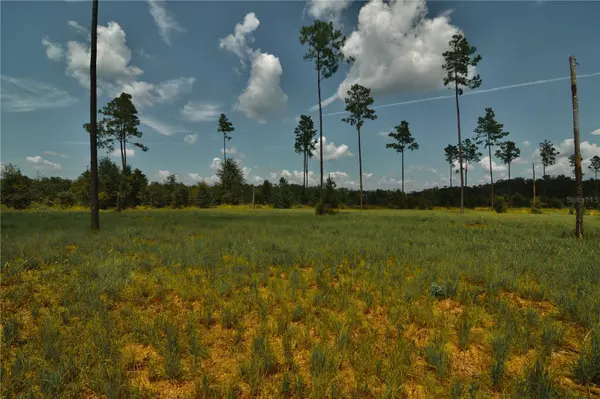 00 99TH LN, Live Oak, FL 32060