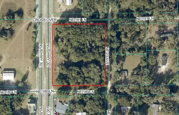 18011 N US HWY 301, Citra, FL 32113