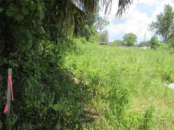 TBD SE 18TH ST, Silver Springs, FL 34488